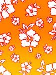 pic for Havaiian Flower